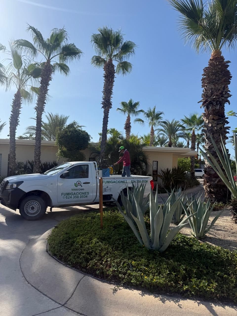 Unidad de Verde Cabo junto a un camellón con agaves y setos podados, rodeado de palmeras